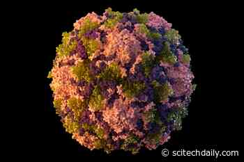 Polio in New York – An Infectious Disease Doctor Explains