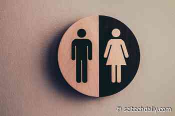 Biological Sex Differences: Why Men Face a Higher Risk of Most Types of Cancer Than Women