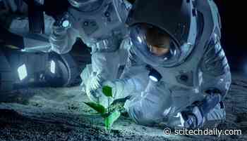 Salt Might Be the Key to Extraterrestrial Life