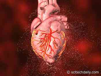 Over 70% of American Children Have Poor Heart Health