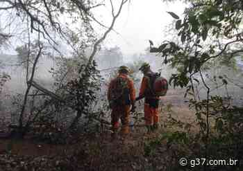 Incêndio consome pastagem perto de reserva ambiental em São Gonçalo do Pará - Portal G37