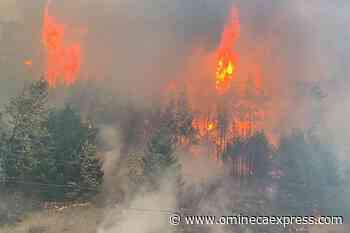 Experts offer tips to stay safe amid wildfire smoke across B.C. - Omineca Express