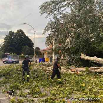 Maltempo. Alberi abbattuti e allagamenti nell'Alto Ferrarese | estense.com Ferrara - Estense.com