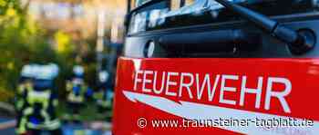 Feuerwehr rettet gestürzte Seniorin und ihre Hündin aus Steilhang - Traunsteiner Tagblatt