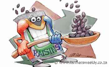 Logistics: the weak link in SA's raisin industry - Farmer's Weekly SA