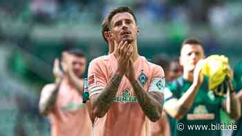 Werder Bremen: Kapitän, Abwehrchef, Standards! Marco Friedl ist ein Tausendsassa - BILD