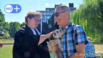 Laatzen: Hunde empfangen bei Tiergottesdienst erstmals den Segen - HAZ