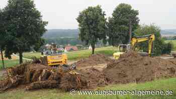 Aichach: Bei Sulzbach wurden zwölf Bäume gefällt | Aichacher Nachrichten - Augsburger Allgemeine