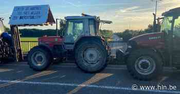 Lokaal bestuur Wuustwezel steunt boeren: “Een veestapel kan je afbouwen, maar een lening niet” - Het Laatste Nieuws