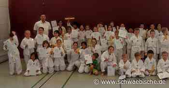 Rekordbeteiligung bei Gürtelprüfung im Taekwondo - Schwäbische