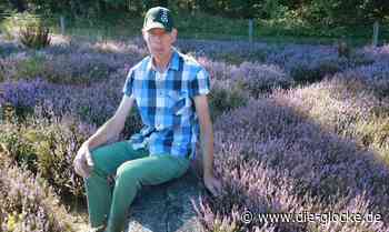 Die Heide in Marienfeld leidet unter der Hitze - Die Glocke