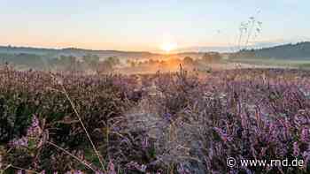 Harz, Heide und Küste mit Saison zufrieden - Inseln sehen „Luft nach oben“ - RND