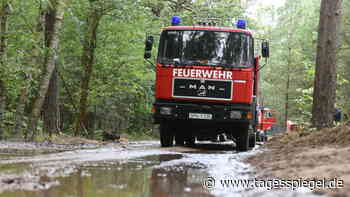 Feuer in Lieberoser Heide nach einer Woche gelöscht – Einsatz geht weiter - Tagesspiegel