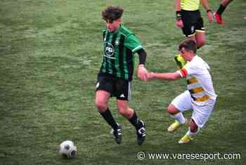 Dalla Castellanzese al Gavirate: un under in mezzo al campo per mister Caon - VareseSport