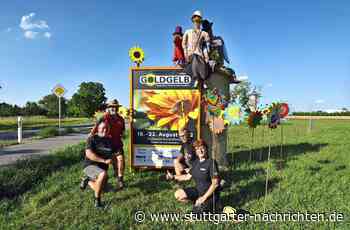 Festival-Vorbereitungen in Aichwald: Auf dem Schurwald leuchtet es goldgelb - Stuttgarter Nachrichten