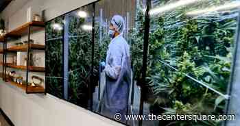 More funding sought to subsidize Pennsylvania medical marijuana purchases - The Center Square