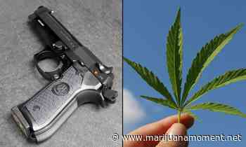 Biden DOJ Says Medical Marijuana Patients Are Too 'Dangerous To Trust' In Motion To Dismiss Lawsuit On Gun Rights - Marijuana Moment