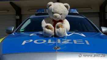 Mannheim: Polizei findet verlorenen Teddybären auf der A6 - SWR Aktuell
