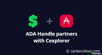 ADA Handle Partners with Cexplorer - Cardano Feed