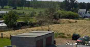 Beelden tonen hooiduivel in Bilzen - Het Laatste Nieuws
