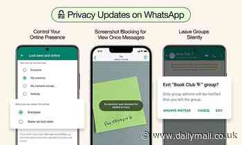 WhatsApp stealth mode lets you select who can see when you're online