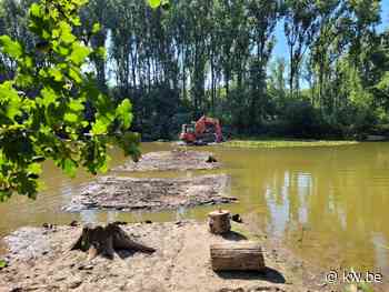 Werken gestart om bijkomende vissterfte in provinciedomein 't Veld in Ardooie te voorkomen - KW.be - KW.be