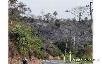 Incêndio em Guararema destrói cerca de 60 mil m² de mata, afirma secretário de Segurança Pública - Guararema
