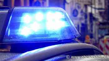 Polizei Pinneberg sucht mit Phantombild nach Einschleichdieb - Hamburger Abendblatt