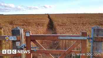 Cornwall footpath cleared twice for walkers - BBC