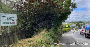 Naughty sign on Cornwall road is making tourists do double takes - Cornwall Live