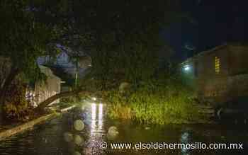 Lluvias en Hermosillo dejaron calles inundadas, carros varados y personas rescatadas: VIDEO - El Sol de Hermosillo
