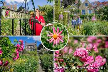 Visitors flock back to recently reopened Crook Hall in Durham - The Northern Echo