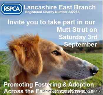 Burnley's Towneley Park to host RSPCA 'Mutt Strut'