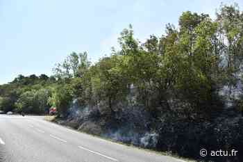 Revel : un départ d'incendie touche 5 000 m2 de végétation près du lac de Saint-Ferréol - actu.fr