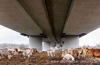 Das größte Bauwerk Deutschlands im Fotoband: So betörend, so brutal: die Autobahn - Stuttgarter Zeitung