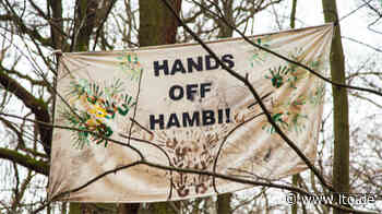 OVG NRW lässt Berufung im Streit um Hambacher Forst zu - Legal Tribune Online