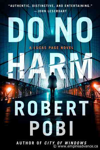 Review: A hero struggles with a mystery readers can solve - Virden Empire Advance