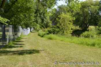 The Virden Visitor - Virden Empire Advance