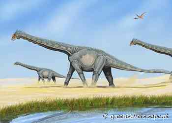 Fóssil de dinossauro encontrado em Pombal é um dos maiores da Europa - Green Savers