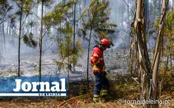 Secretário de Estado da Conservação das Florestas em Pombal para reunir com autarcas cujos municípios arderam - Jornal de Leiria