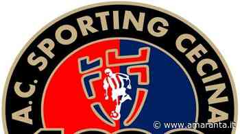 Il Cecina prende anche Rizak, Zikran ed i fratelli Milano - Amaranta