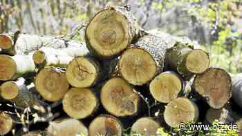 Erneut Holz geklaut im Holzland: Belohnung ausgesetzt