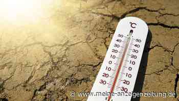 Wetter in Deutschland: Hitze-Sommer geht weiter! Experte mit konkreter Prognose