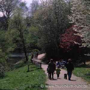 Mülheimer Waldgeschichte