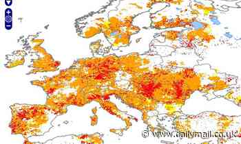Almost half of the EU is in danger of drought this summer