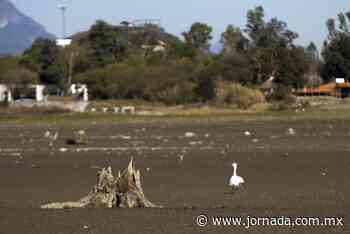 Prevén reducir en septiembre déficit de agua en Monterrey - La Jornada