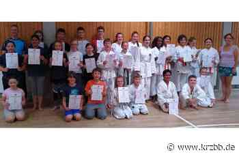 Karate bei der SV Böblingen - Gleich 67 bestandene Gürtelprüfungen auf einmal - Kreiszeitung Böblinger Bote