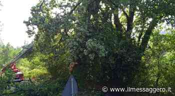 Rieti, seconda giornata di danni da maltempo in Sabina - ilmessaggero.it