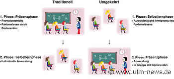 Hohe Studierendenzufriedenheit: Ulmer Studie untersucht digitalisiertes Lehrformat im Medizinstudium