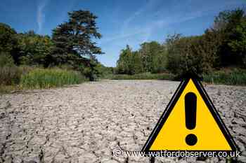 Hosepipe ban UK: Thames Water restrictions to hit 15million homes amid heatwave